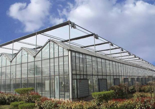 花季网站入口板新型温室大棚一亩造价多少钱？